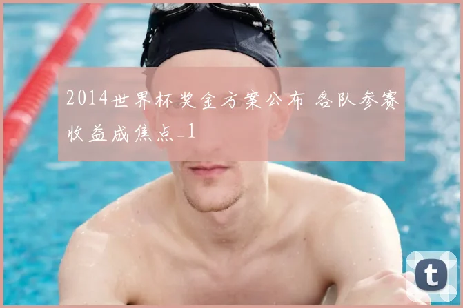 2014世界杯奖金方案公布 各队参赛收益成焦点_1