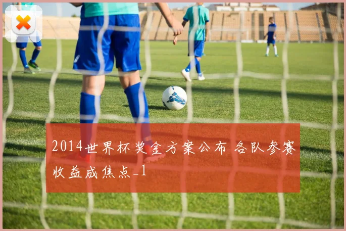 2014世界杯奖金方案公布 各队参赛收益成焦点_1