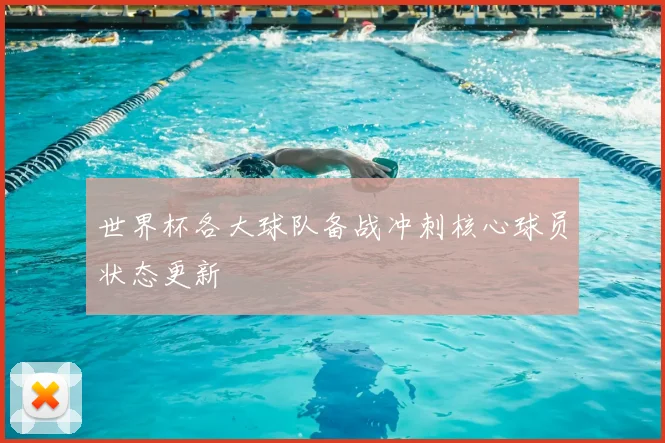 世界杯各大球队备战冲刺核心球员状态更新