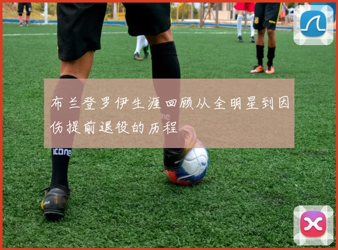 布兰登罗伊生涯回顾从全明星到因伤提前退役的历程