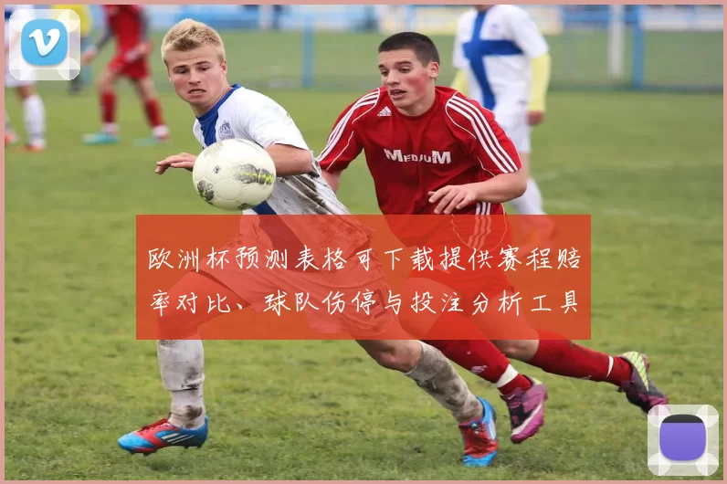 欧洲杯预测表格可下载提供赛程赔率对比、球队伤停与投注分析工具